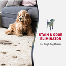 Advanced Stain and Odor Eliminator for Dogs - 946 ml spray