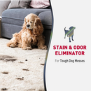 Advanced Stain & Odor Eliminator for Dogs - 496 g Foam