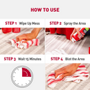 Advanced Stain & Odor Eliminator for Dogs - 496 g Foam