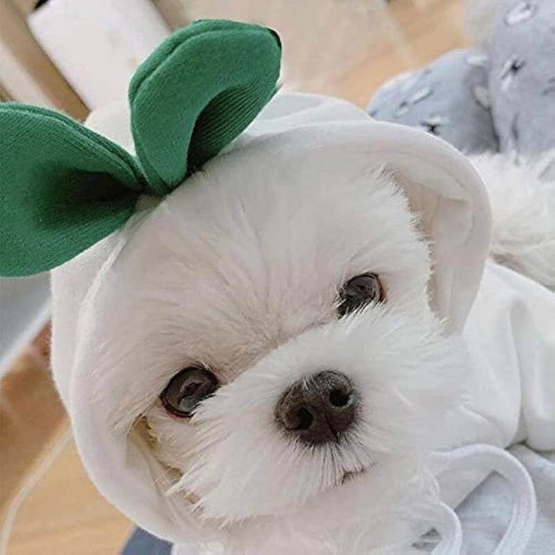 Pet Costume - Cute Hoodies