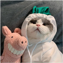 宠物服饰 - 可爱连帽衫