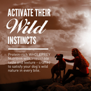 Dry Dog Food - Wild Reserve - Farm Raised Beef & Lamb Recipe