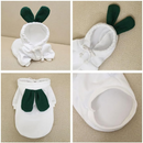 宠物服饰 - 可爱连帽衫