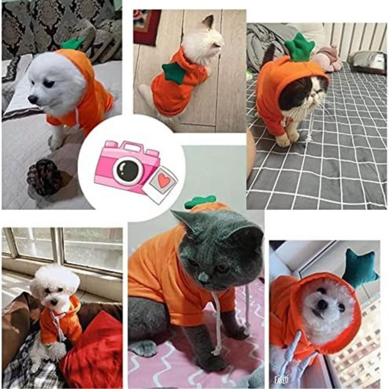 Pet Costume - Cute Hoodies