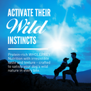 Dry Dog Food - Wild Reserve - Free Run Chicken & Wild Caught Fish Recipe