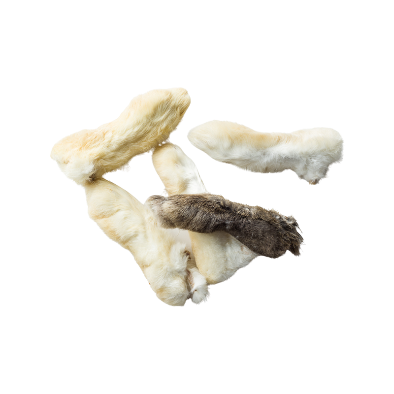 Bulk Dog Treat - Dehydrated Rabbit Feet – J & J Pet Club
