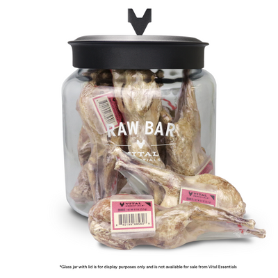 Freeze Dried Dog Treat - RAW BAR - Whole Quail - 1 pc