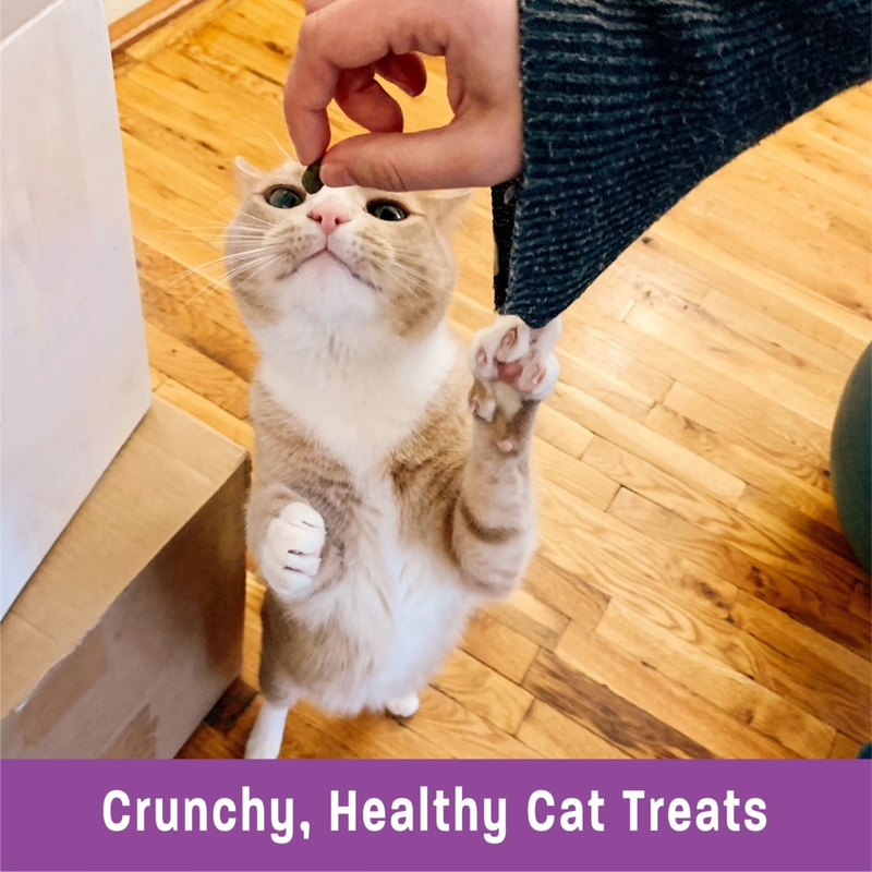Crunchy Cat Treat - Kittles - Chicken & Cranberries