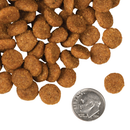 Dry Dog Food - FOUR STAR - Pork & Applesauce Recipe