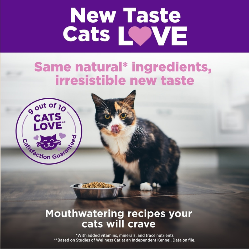 Alimentation sèche pour chats - Santé complète - Grains sain pour chaton de chaton - 5 lb