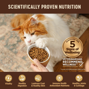 Dry Cat Food - CORE - Grain Free Turkey & Chicken - Kitten