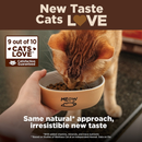 Dry Cat Food - CORE - Grain Free Turkey & Chicken - Kitten