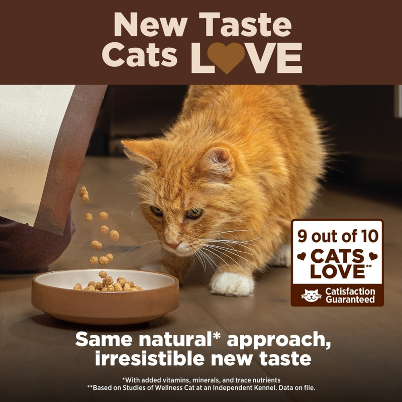 Dry Cat Food - CORE+, Grain Free Chicken & Turkey - INDOOR Adult
