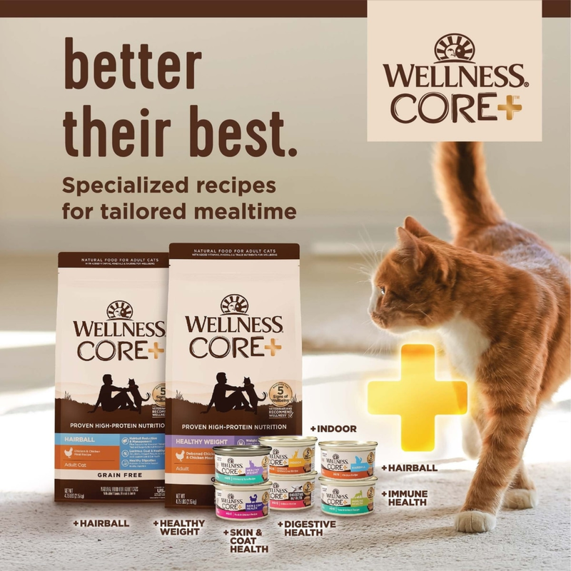 Dry Cat Food - CORE+, Grain Free Chicken & Turkey - INDOOR Adult