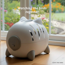PIXI Mio Cat Bed & Carrier