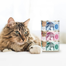 Canned Cat Food - Senior - Chicken Formula in Gravy