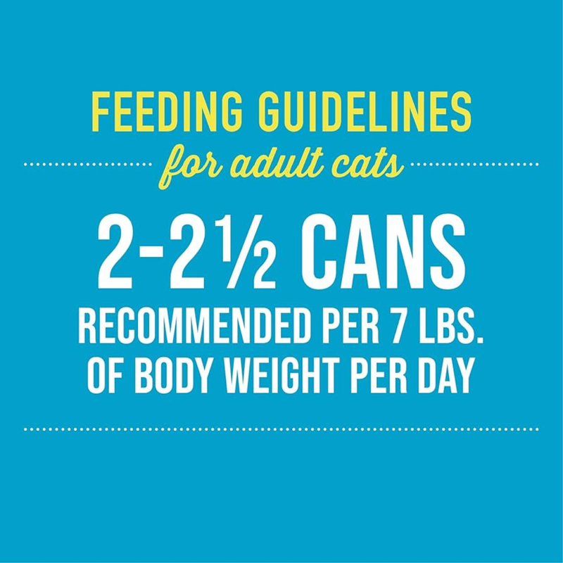 Canned Cat Food - SILVER - Variety Pack