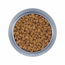 Dry Cat Food - Kitten