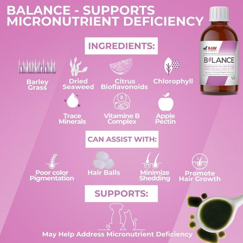 B + Lance Supplément de vitamines et minéraux - 250 ml