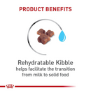 Nourriture chat sec - mère et babycat