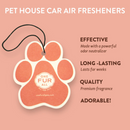 Car Air Freshener - Mango Peach