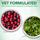 Cat Supplement - Urinary Tract Support Chewable Tablets