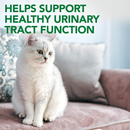 Cat Supplement - Urinary Tract Support Chewable Tablets