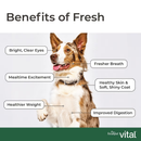 Cooked Dog Food - VITAL - Chicken Recipe with Whole Grain & Green Beans