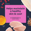 Freeze Dried Cat Food Topper - Raw Boost Mixers - Skin & Coat Health