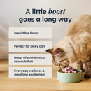 Freeze Dried Cat Food Topper - Raw Boost Mixers - Skin & Coat Health