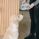 Natural Dog Supplement - Chaga & Blueberry