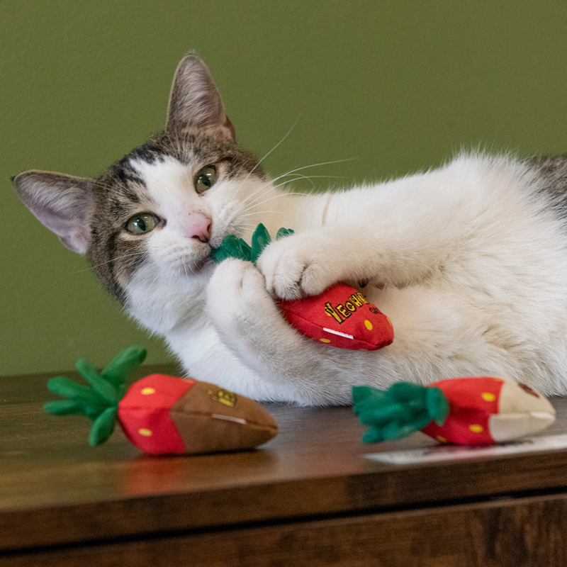 Catnip Cat Toy - Strawberries - 1 pc