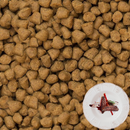 Dry Dog Food - Grain Free Duck - All Life Stages Small Breed
