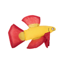 Catnip Cat Toy - Mo Betta Fish - 1 pc