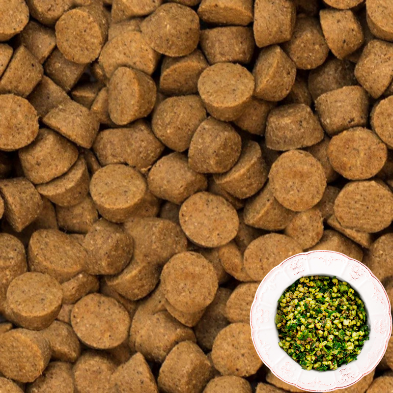 Dry Dog Food - Vegan - Adult