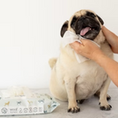 Manuka Honey Dog Wipes