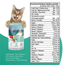 Chat Treat Pouch - Poulet avec citrouille en bouillon - 2,47 oz