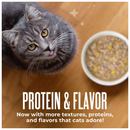 Canned Cat Food - Friends - Minced Chicken, Pumpkin & Lamb in Broth