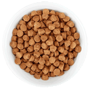 Dry Cat Food - BORN CARNIVORE - High Protein: Deboned Chicken & Egg Recipe