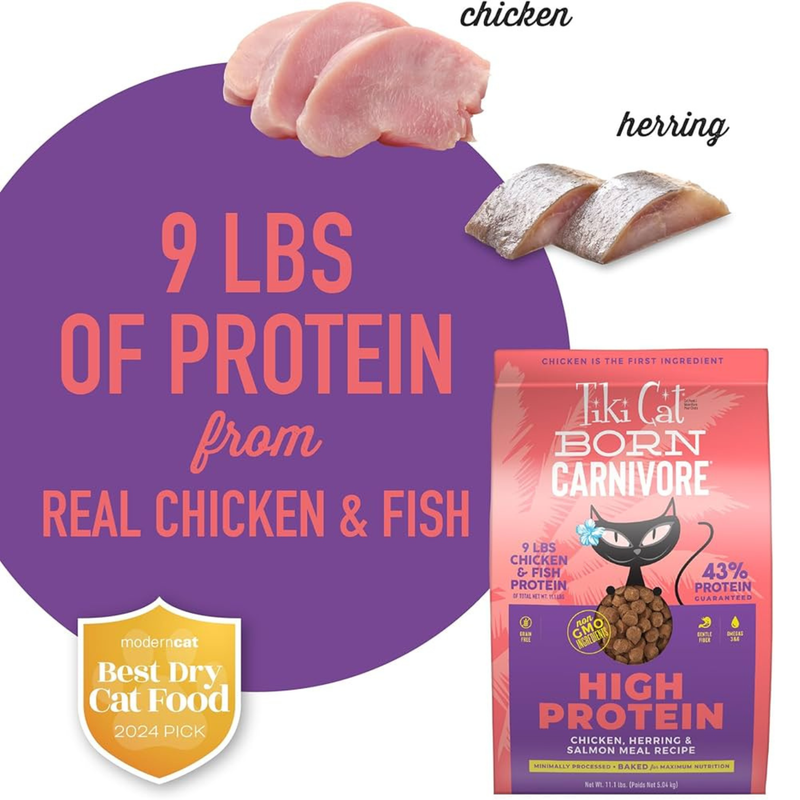 Dry Cat Food - BORN CARNIVORE - High Protein: Chicken, Herring & Salmon Recipe