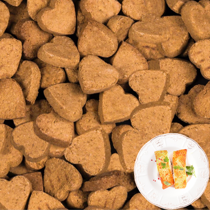 Traité pour chiens - Grain naturel sans saumon avec fruits et légumes - 1 lb