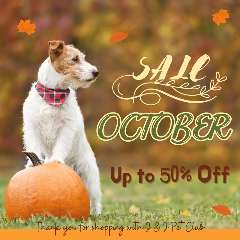 good deal in October, 50% off, discount, pet food promotion, J & J PET CLUB, instinct, primal, kit cat
