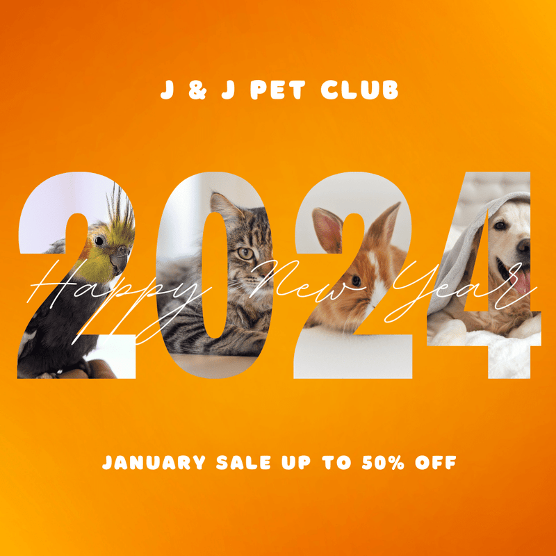 https://jjpetclub.com/cdn/shop/files/Image_20231227182532_800x.png?v=1704303807