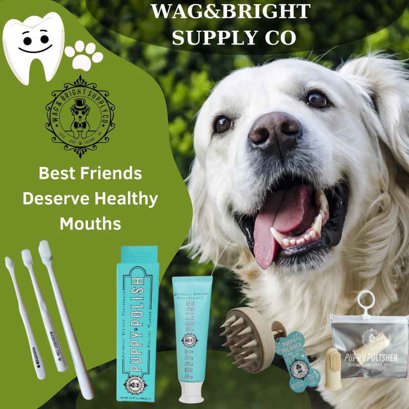 Wag & Bright, Dog Dental, Cat Dental, pet oral care, clean tooth