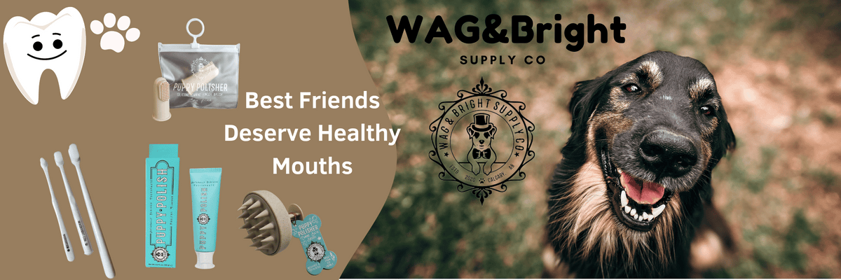 Wag & Bright, Dog Dental, Cat Dental, pet oral care, clean tooth