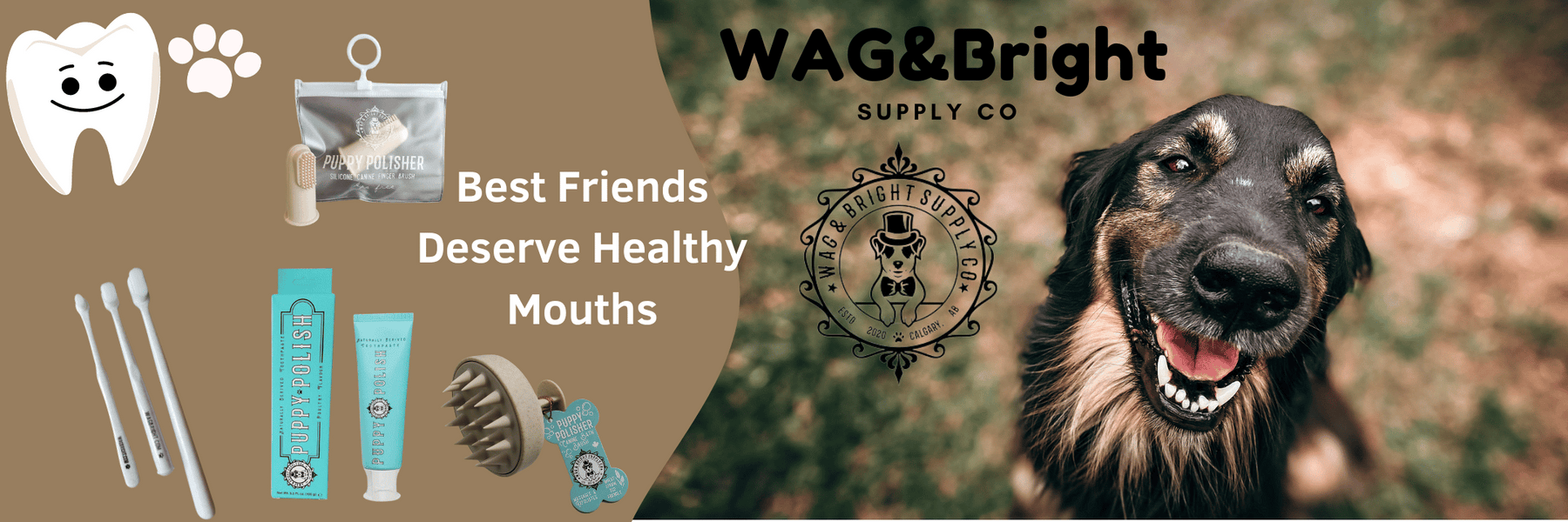 Wag & Bright, Dog Dental, Cat Dental, pet oral care, clean tooth
