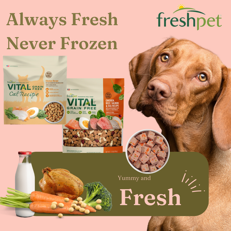 freshpet, cooked food, fresh food, vital, healthy dog food