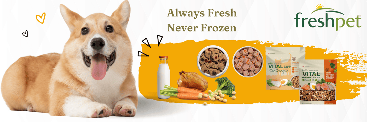 freshpet, cooked food, fresh food, vital, healthy dog food