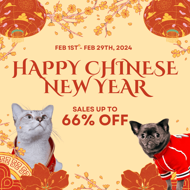 chinese new year, lunar new year, good deal, discount, sales, promotion