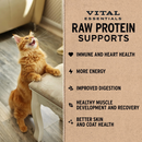 Freeze Dried Cat Food - Soft Mini Patties - Rabbit